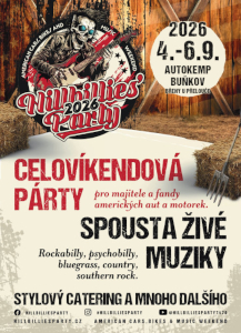 hillbilliesparty